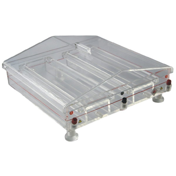 Immunoelectrophoresis System (BG-caTANK)